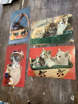 4 Vintage Postcards Cats Kittens In Basket