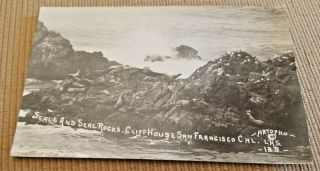 Vintage Rppc Real Photo Seals And Seal Rocks Cliff House San Francisco Real Phot