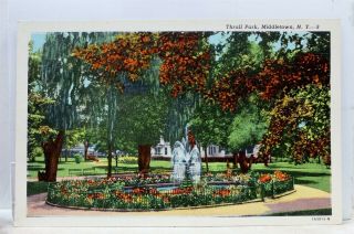 York Ny Middletown Thrall Park Postcard Old Vintage Card View Standard Post