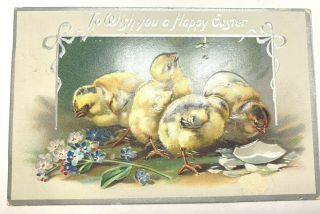 Vintage Easter Postcard By Tuck Series 704 Chicks,  Embossed Posted 1911