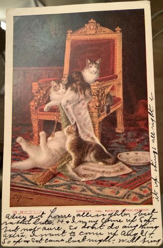 Vintage Cat Kitten Postcard On Chair Or Throne Udb 1907