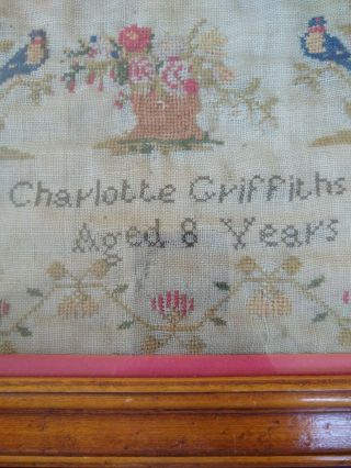 Georgian Needle Work Pictorial Sampler Prayer 1830s?,  Signed Charlotte Griffiths 5