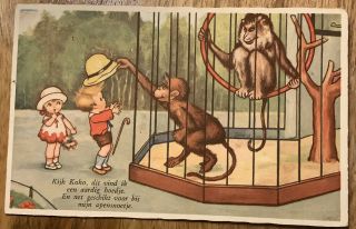 Vintage Zoo Postcard From Netherlands Monkey Children Antique Dutch