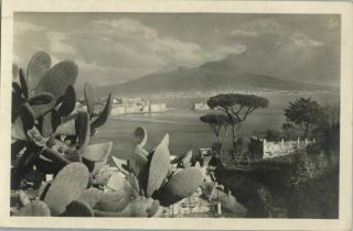 Rppc Napoli Italy Cactus Mountains Vintage Real Photo Postcard
