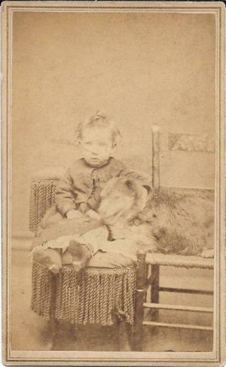 Cdv Young Girl With Collie Dog Loudonville,  Ohio J.  H.  Poff,  Photographer