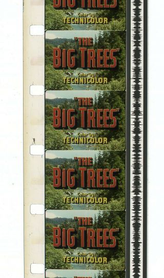 16mm Feature Film Movie - The Big Trees (1952) - Ib - Kirk Douglas