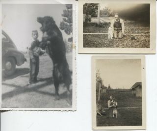 Snapshot Photo (3) Boys And Their Dogs 1920s - 1940s