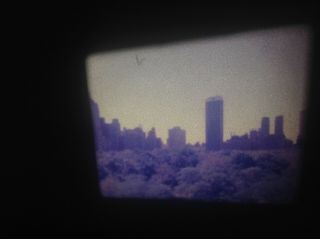 1973 Nyc Central Park Zoo Overhead Viewpeople Home Movie 16mm Film 100 