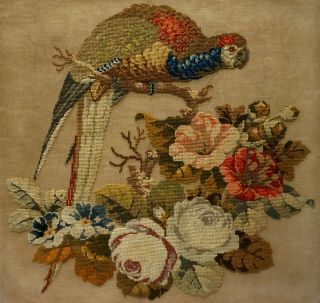 Mid/late 19th Century Wool Work Of A Parrot Surrounded By Flowers - C.  1860