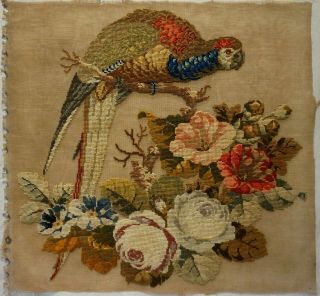 MID/LATE 19TH CENTURY WOOL WORK OF A PARROT SURROUNDED BY FLOWERS - c.  1860 2