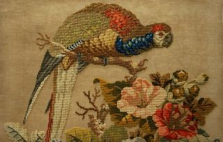 MID/LATE 19TH CENTURY WOOL WORK OF A PARROT SURROUNDED BY FLOWERS - c.  1860 3