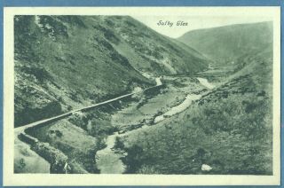 Vintage Sulby Glen,  I.  O.  M.  - Tuck’s Postcard.  Ref.  516