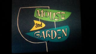 16mm Cartoon " Mouse And Garden " 1960 Starring Sylvester,  Color
