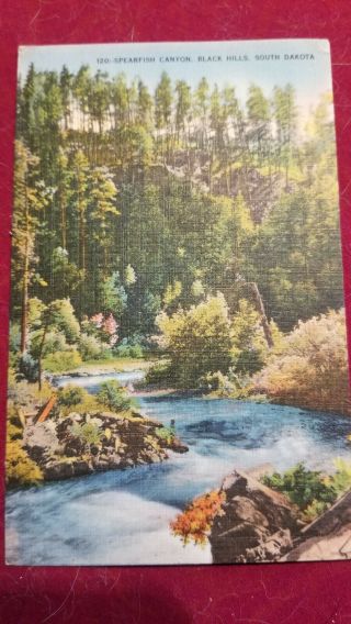 Vintage Postcard Sd South Dakota Black Hills Spearfish Canyon Scene
