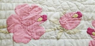 Gorgeous Vintage Cottage Pink White Applique Rose QUILT 86x76,  Expertly Quilted 3