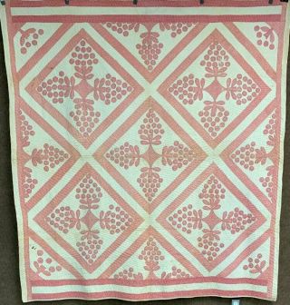 Early Pa C 1880 - 1900 Album Cherry Trees Quilt Applique Double Pink