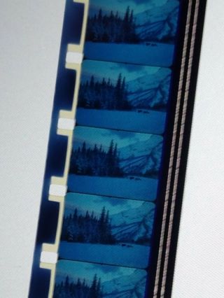Seasons Of The Elk - 16mm Film - Great Animal Stories