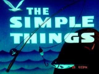 16 Mm Cartoon: " The Simple Things " 1953 Ib Disney