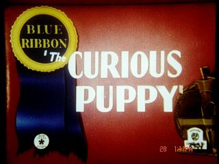 16mm Cartoon: " The Curious Puppy " 1939 Lpp