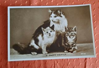 Vintage Cat Postcard.  Rppc.  Two Kittens With Mom.  British.  Pm 1957.