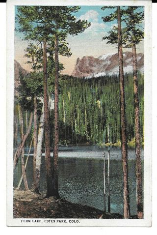 Fern Lake,  Estes Park,  Colorado Vintage Postcard 1915 - 1930