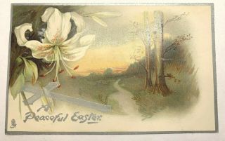 Vintage Easter Postcard By Tuck Series 1702 Lily & Scene Series No E 1702 Posted