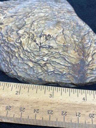 Large Cut Slab of Unknown Stone - 143.  1 Grams - Vintage Estate Find 3