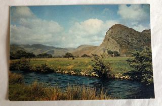 The Bird Rock,  Merionethshire,  Vintage Postcard