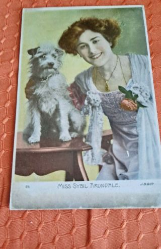 Vintage Dog Postcard.  Terrier With Pretty Lady.  British.  Pm1905.