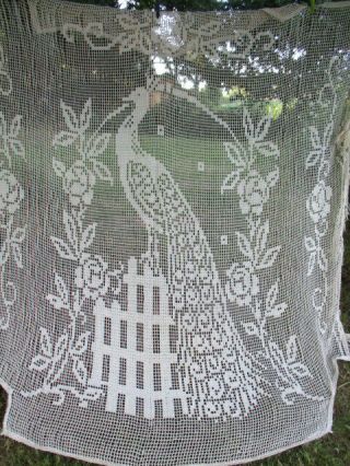 Stunning Antique Vintage French Filet Lace Bed Cover Or Curtain Fringe.  81” X 91”