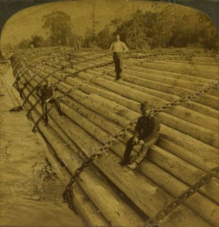 Gigantic Raft Of Logs Chained Together Columbia River Oregon Stereoview