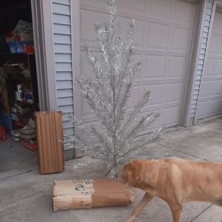 Vintage Aluminum Christmas Tree 42 Branch Box 6.  5’
