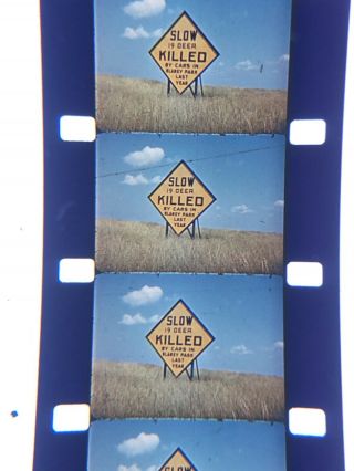 16mm Silent Kodachrome Home Movie Blarney Park Mi.  Caboose,  More,  1940’s400” 3
