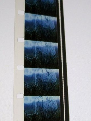 Disney ' s PROWLERS OF THE EVERGLADES - 16mm film 3