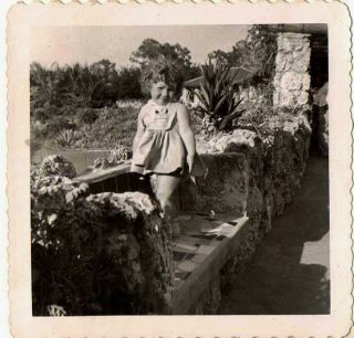 Vintage Antique Photograph Cute Little Girl Standing On Bench In Gorgeous Garden