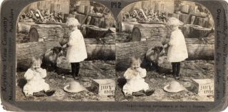 Baby is Crying because Lamb is Drinking her Bottle.  Stereoview Photo 2