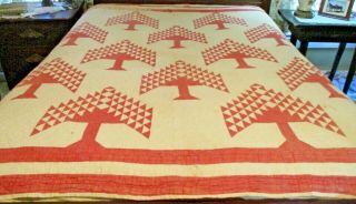 Antique " Tree Of Life " Quilt,  Hand Stitched Red On Ivory,  Worn Beauty,  70 " X 92 "