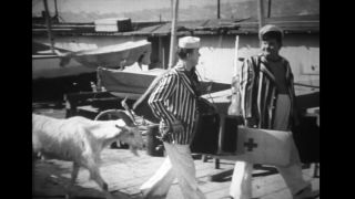 16mm Feature Laurel And Hardy " Saps At Sea " The Boys Final Hal Roach Film (1940)