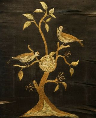 Early 19th Century Silk Work Of A Finches Watching Their Nest - C.  1830