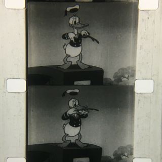 Ducking Out | 16mm Disney Cartoon | 100ft Reel | Silent & B&w