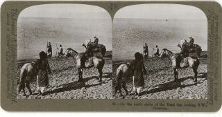 Palestine Men On Horses On North Shore Of The Dead Sea Stereoview Upsa48