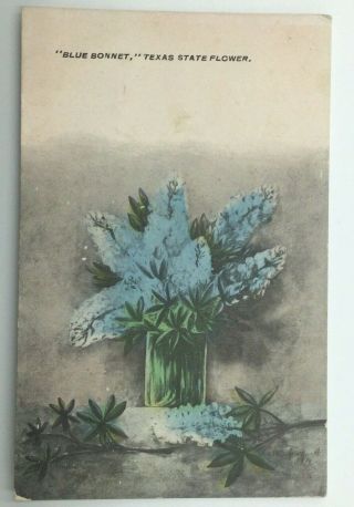 Vintage Texas Postcard,  “blue Bonnet” State Flower,  Unposted