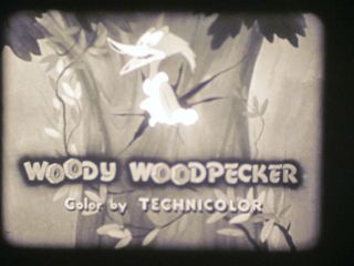 16 Mm B&w Sound Woody Woodpecker Cartoon Wacky Bye Baby