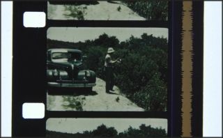 Battling Bass,  16mm Film,  Fishing In Florida,  Kodachrome 1950s
