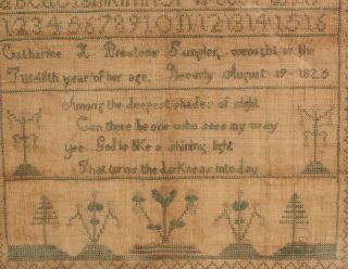 1825 Antique 19thC American Folk Art Needlepoint Sampler Alphabet Poem NR 5