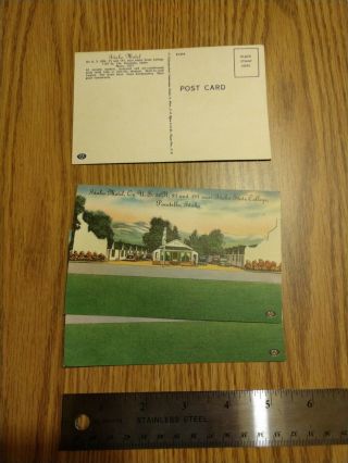 Vintage Motel Postcard,  1950 