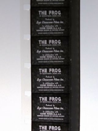 The Frog - 16mm Educational Film - B&w - Erpi Classroom Films Inc.