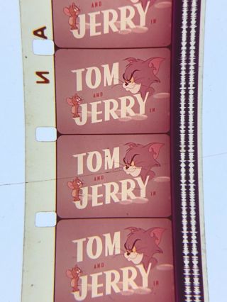 16mm Sound Color Landing Stripling Tom&jerry Cartoon 1962 Theatrical 400”