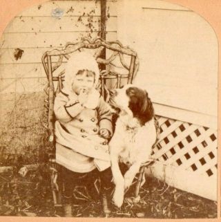 1882 Little Girl With Her Dog,  " Innocence ".  B.  W.  Kilburn Stereoview Photo