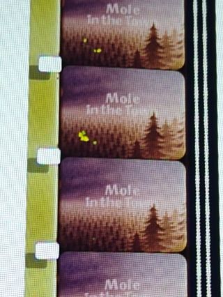Mole In The City - 16mm Film - Animated Short Subject